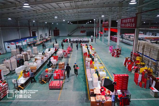 厲害了大陜西!全國(guó)水果類品牌價(jià)值的榜首,竟是陜西的洛川蘋果!
